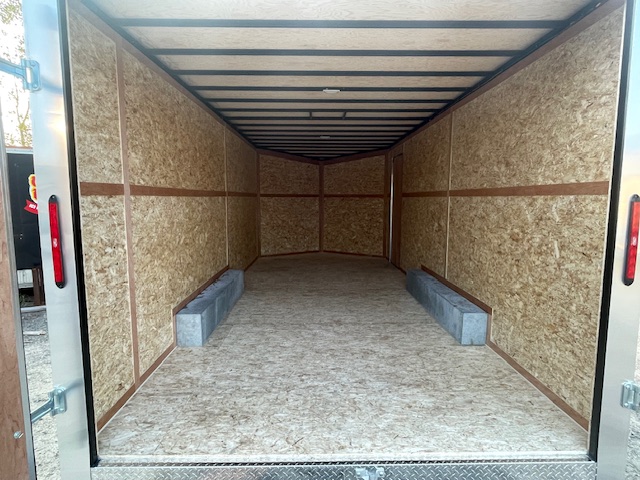 image2 (79).jpeg