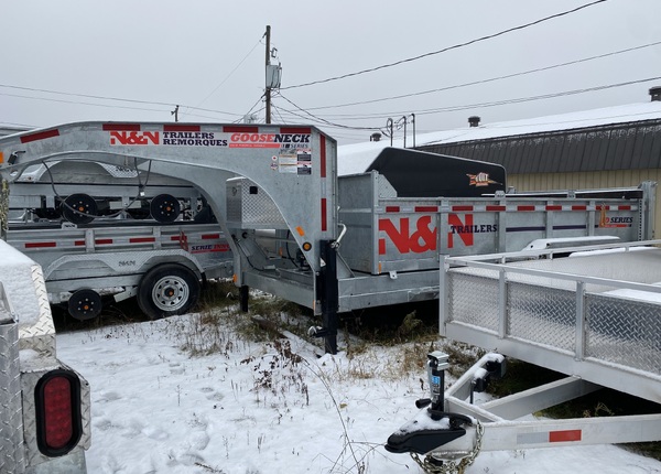 DOMPEUR &Agrave; COL DE CYGNE (GOOSE NECK)  #NN-N031089