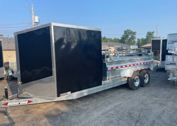 DUMP TRAILER #WE-D128542